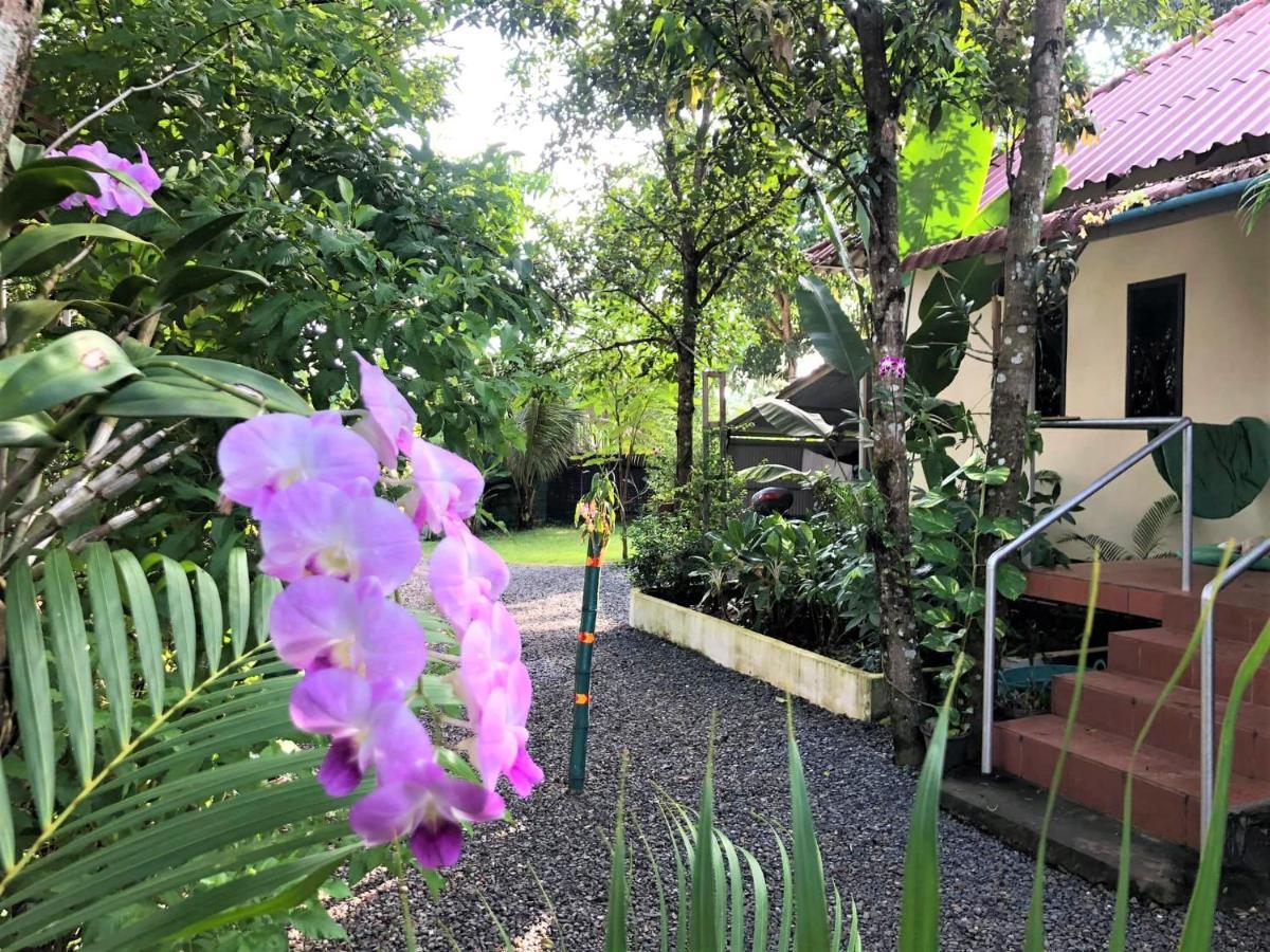 Green Mango Bungalows 贡布 外观 照片