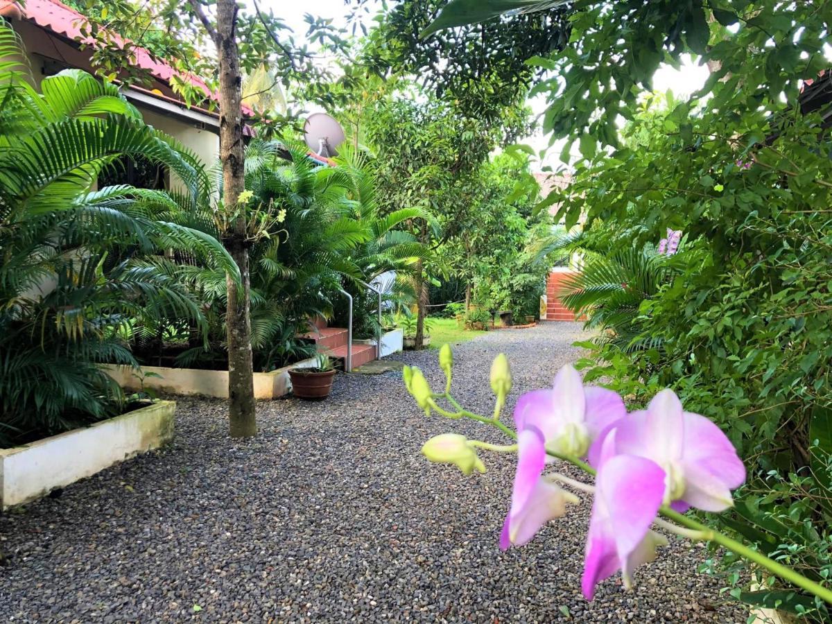 Green Mango Bungalows 贡布 外观 照片