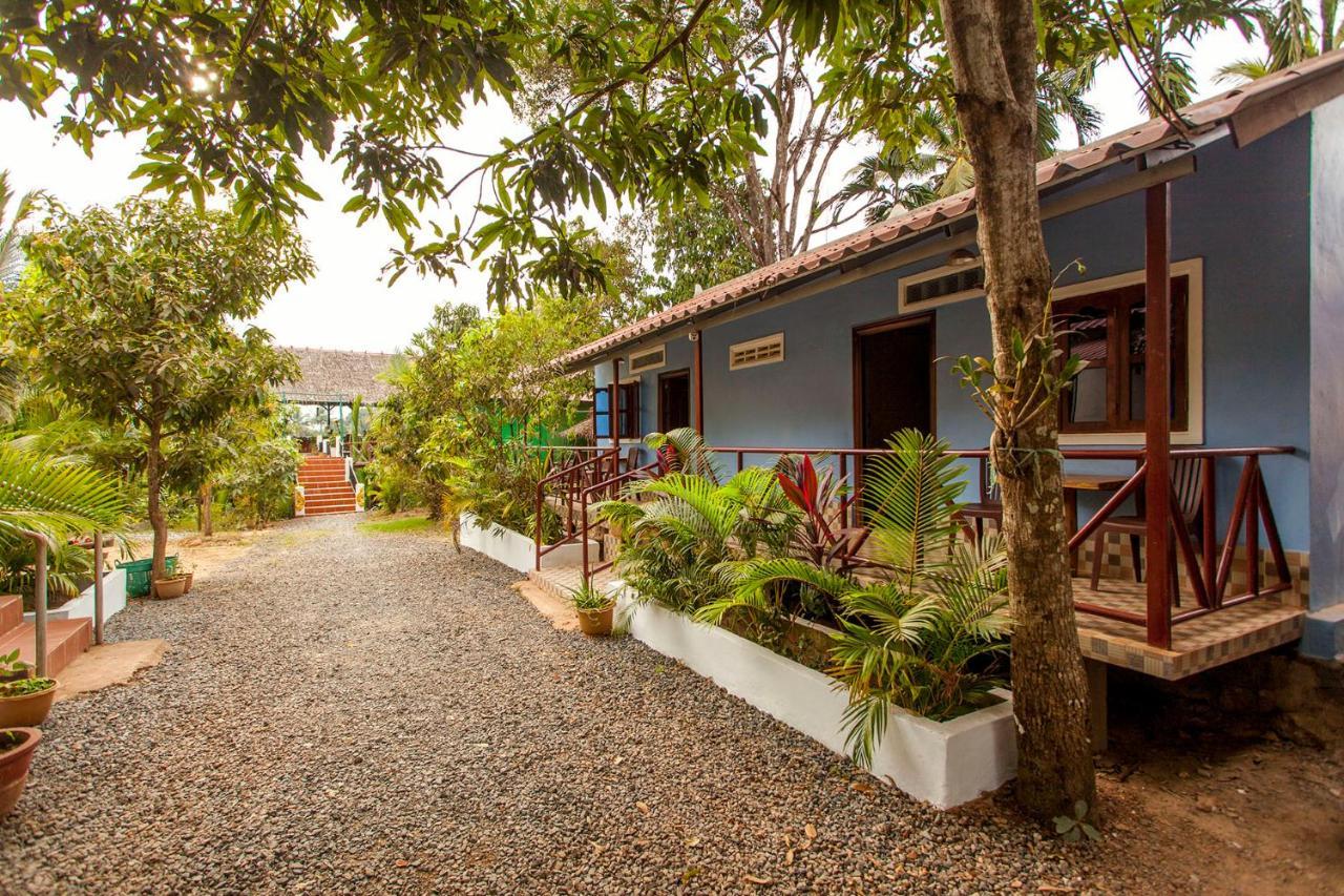 Green Mango Bungalows 贡布 外观 照片